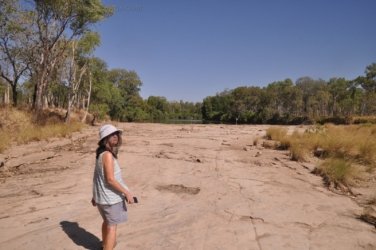 Bullita 070 DSC 0676 Bullita 070 DSC 0676