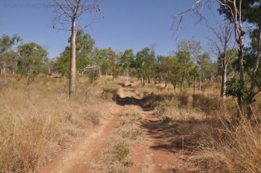 Bullita 071 DSC 0677 Bullita 071 DSC 0677