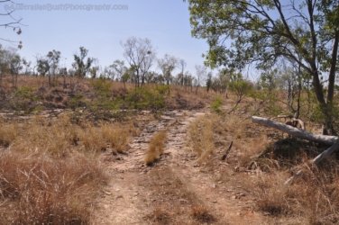 Bullita 085 DSC 0691 Bullita 085 DSC 0691