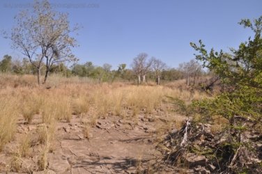 Bullita 086 DSC 0692 Bullita 086 DSC 0692