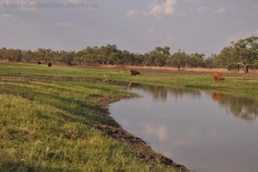 Camooweal Lagoon 049 DSC 0363 2021 10 26 16h46m48s Camooweal Lagoon 049 DSC 0363 2021 10 26 16h46m48s