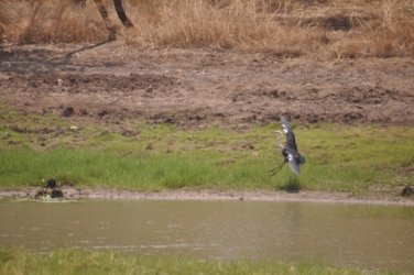 Camooweal Lagoon 054 DSC 0368 2021 10 27 11h05m30s Camooweal Lagoon 054 DSC 0368 2021 10 27 11h05m30s
