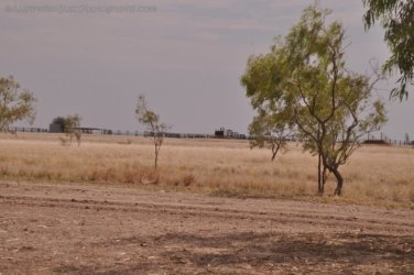 Camooweal Lagoon 073 DSC 0389 2021 10 29 13h49m26s Camooweal Lagoon 073 DSC 0389 2021 10 29 13h49m26s