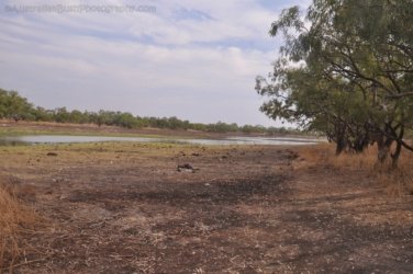 Camooweal Lagoon 074 DSC 0390 2021 10 29 16h15m32s Camooweal Lagoon 074 DSC 0390 2021 10 29 16h15m32s
