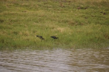 Camooweal Lagoon 102 DSC 0418 2021 10 30 10h30m50s Camooweal Lagoon 102 DSC 0418 2021 10 30 10h30m50s