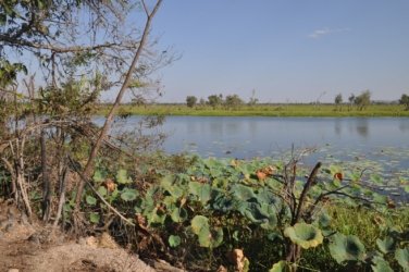 Couzens Lookout 008 DSC 0656 Couzens Lookout 008 DSC 0656