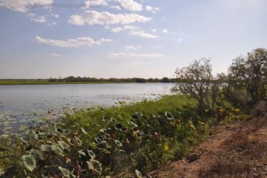 Couzens Lookout 010 DSC 0658 Couzens Lookout 010 DSC 0658