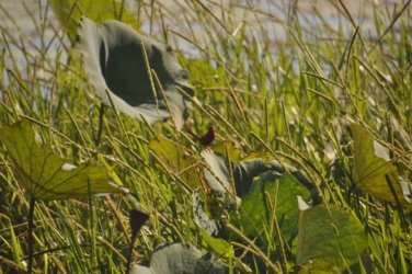 Couzens Lookout 013 DSC 0661 Couzens Lookout 013 DSC 0661