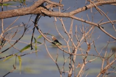 Couzens Lookout 028 DSC 0676 Couzens Lookout 028 DSC 0676