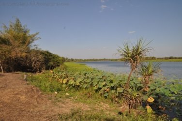 Couzens Lookout 033 DSC 0681 Couzens Lookout 033 DSC 0681
