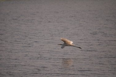 Couzens Lookout 041 DSC 0688 Couzens Lookout 041 DSC 0688