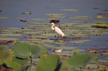 Couzens Lookout 062 DSC 0709 Couzens Lookout 062 DSC 0709
