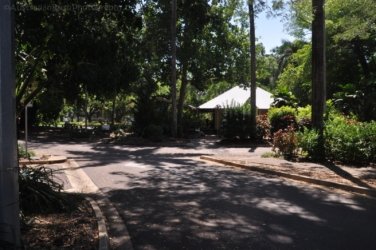 Darwin Botanic Gardens001 DSC 0921 Darwin Botanic Gardens001 DSC 0921