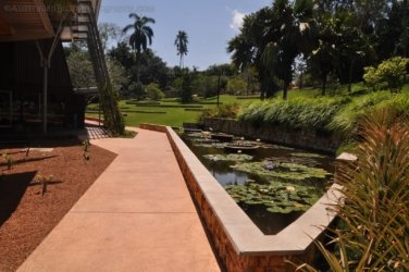 Darwin Botanic Gardens010 DSC 0930 Darwin Botanic Gardens010 DSC 0930