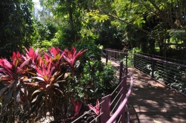 Darwin Botanic Gardens024 DSC 0944 Darwin Botanic Gardens024 DSC 0944