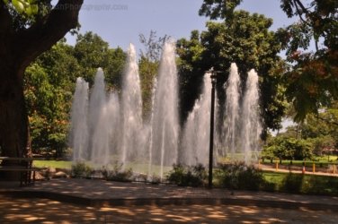 Darwin Botanic Gardens046 DSC 0966 Darwin Botanic Gardens046 DSC 0966