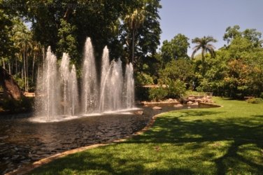 Darwin Botanic Gardens048 DSC 0968 Darwin Botanic Gardens048 DSC 0968