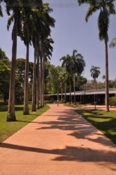 Darwin Botanic Gardens059 DSC 0979 Darwin Botanic Gardens059 DSC 0979