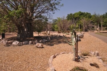 Darwin Botanic Gardens062 DSC 0982 Darwin Botanic Gardens062 DSC 0982