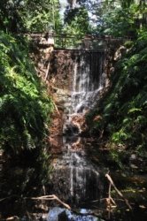 Darwin Botanic Gardens081 DSC 1001 Darwin Botanic Gardens081 DSC 1001