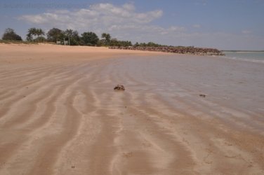 Dundee Beach1 035 DSC 0882 Dundee Beach1 035 DSC 0882