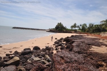 Dundee Beach2 016 DSC 0080 Dundee Beach2 016 DSC 0080