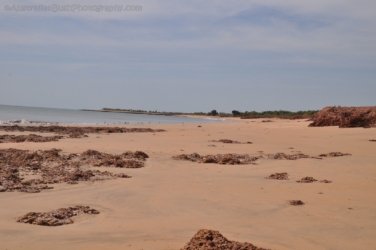 Dundee Beach2 029 DSC 0093 Dundee Beach2 029 DSC 0093