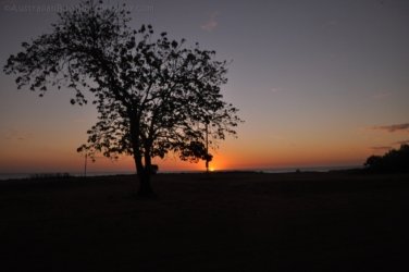 Dundee Beach2 053 DSC 0118 Dundee Beach2 053 DSC 0118