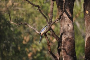 Edith Falls 124 DSC 0487 Edith Falls 124 DSC 0487