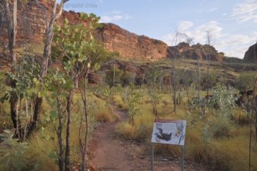 Goorandalng Keep River 023 DSC 0259 Goorandalng Keep River 023 DSC 0259