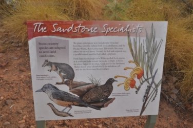 Goorandalng Keep River 024 DSC 0260 Goorandalng Keep River 024 DSC 0260