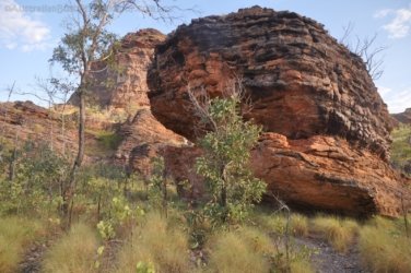 Goorandalng Keep River 029 DSC 0265 Goorandalng Keep River 029 DSC 0265