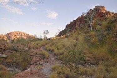 Goorandalng Keep River 101 DSC 0337 Goorandalng Keep River 101 DSC 0337