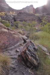 Goorandalng Keep River 120 DSC 0356 Goorandalng Keep River 120 DSC 0356