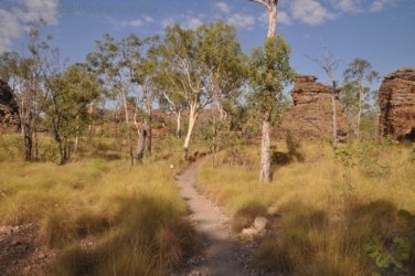 Goorandalng Keep River 128 DSC 0375 Goorandalng Keep River 128 DSC 0375