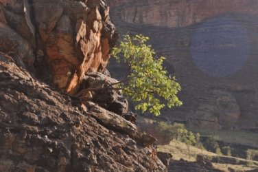 Goorandalng Keep River 131 DSC 0378 Goorandalng Keep River 131 DSC 0378