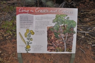 Goorandalng Keep River 142 DSC 0389 Goorandalng Keep River 142 DSC 0389