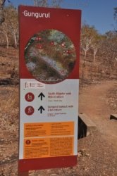 Gungurul Lookout 003 Gungiurul and lookout Walk Kakadu 001 DSC 0599 Gungurul Lookout 003 Gungiurul and lookout Walk Kakadu 001 DSC 0599