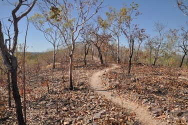 Gungurul Lookout 010 Gungiurul and lookout Walk Kakadu 008 DSC 0606 Gungurul Lookout 010 Gungiurul and lookout Walk Kakadu 008 DSC 0606