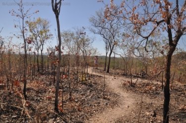 Gungurul Lookout 011 Gungiurul and lookout Walk Kakadu 009 DSC 0607 Gungurul Lookout 011 Gungiurul and lookout Walk Kakadu 009 DSC 0607