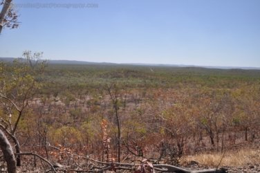 Gungurul Lookout 033 Gungiurul and lookout Walk Kakadu 031 DSC 0629 Gungurul Lookout 033 Gungiurul and lookout Walk Kakadu 031 DSC 0629