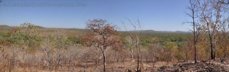 Gungurul lower slopes Gungurul lower slopes