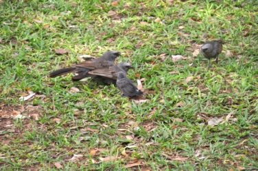 Heartbreak Hotel 011 DSC 0288 2021 10 25 08h36m03s Heartbreak Hotel 011 DSC 0288 2021 10 25 08h36m03s