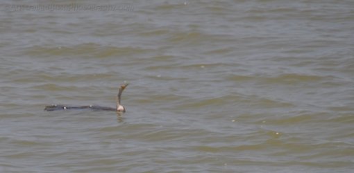 Hughenden 011 DSC 0539 2021 11 13 10h46m11s Hughenden 011 DSC 0539 2021 11 13 10h46m11s