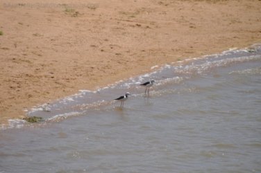 Hughenden 015 DSC 0543 2021 11 13 10h50m01s Hughenden 015 DSC 0543 2021 11 13 10h50m01s