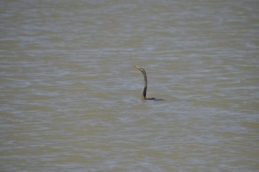 Hughenden 057 DSC 0585 2021 11 14 10h55m24s Hughenden 057 DSC 0585 2021 11 14 10h55m24s