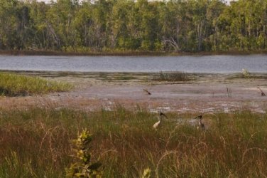 Jabiru Lake Kakadu 001 DSC 0780 Jabiru Lake Kakadu 001 DSC 0780