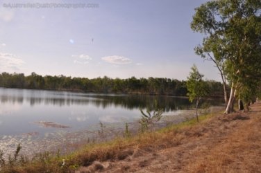 Jabiru Lake Kakadu 015 DSC 0794 Jabiru Lake Kakadu 015 DSC 0794