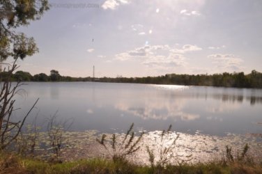 Jabiru Lake Kakadu 016 DSC 0795 Jabiru Lake Kakadu 016 DSC 0795