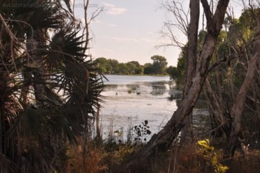 Jabiru Lake Kakadu 020 DSC 0799 Jabiru Lake Kakadu 020 DSC 0799
